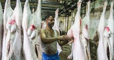 نصائح فعالة تضمن اختيار لحوم طازجة وتجنب الخداع في السوق