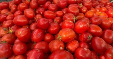 التموين توفر الطماطم بسعر 20 جنيها في المجمعات الاستهلاكية