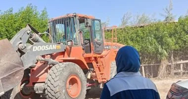 الإسكندرية تشن حملات لإزالة الاعتداءات على الأراضي الزراعية خلال عيد الأضحى