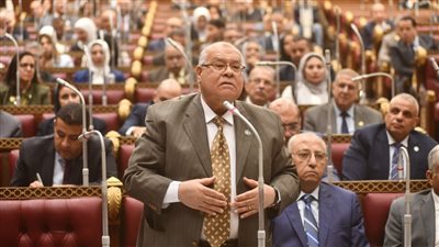 ناجي الشهابي لـ«تحيا مصر»: عصابات الاحتيال الإلكتروني تستغل ضعف الثقافة الرقمية للمواطنين