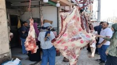 “الخدمات البيطرية” تحذر من مخاطر الذبح بالشوارع: وفرنا مجازر مجانية وخطاً ساخناً للإرشادات