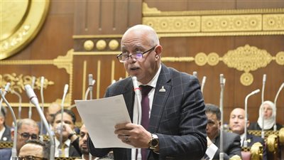 النائب حازم الجندي: مشروع الدلتا الجديدة خطوة استراتيجية لتعزيز الأمن الغذائي والتنمية الذكية