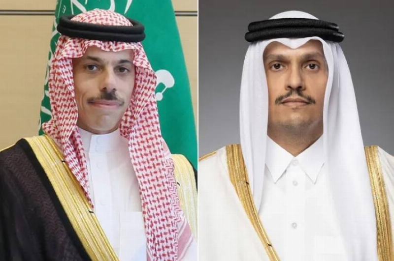وزير الخارجية ونظيره القطري يبحثان تطورات الأوضاع في المنطقة