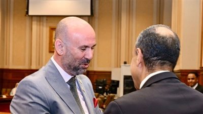 مناقشات موسعة لأداء الدبلوماسية المصرية بحضور وزير الخارجية في مجلس الشيوخ
