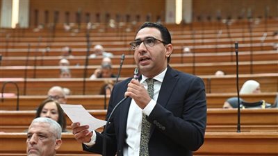 النائب عبد الوهاب خليل أمينا لحزب مستقبل وطن بمحافظة الجيزة