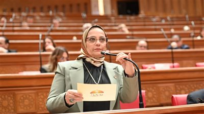 تحركات جديدة لدعم العمالة غير المنتظمة.. وإشادة برلمانية بقرارات عيد العمال