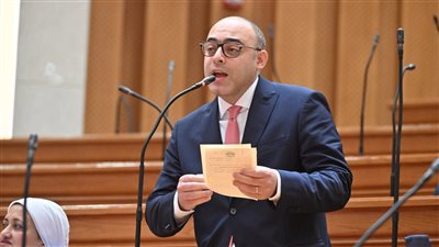 دعوة برلمانية لوضع خطة شاملة لعودة الجماهير للملاعب المصرية بشكل تدريجي ومستدام