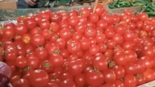 أسعار كيلو الطماطم في الأسواق المحلية اليوم وتغيرات خضروات العبور