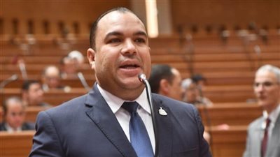 رئيس برلمانية المؤتمر بالنواب يطالب بإصلاح شامل لمنظومة الحماية الاجتماعية وتعزيز استدامة التأمينات