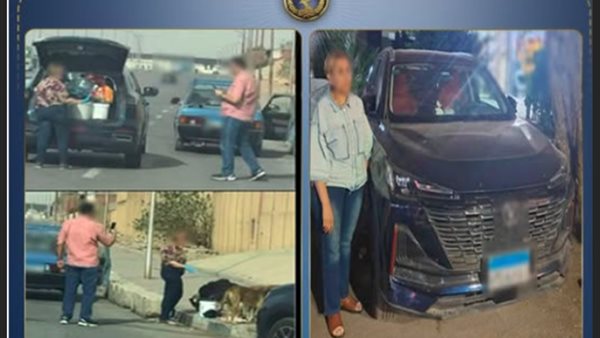 ضبط امرأة في القاهرة تنشر فيديو لإطعام كلاب الشوارع لجمع تبرعات