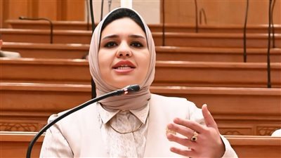 النائبة راوية مختار تتقدم بطلب إحاطة لمواجهة المحتوى غير اللائق والمضلل على مواقع التواصل الاجتماعي