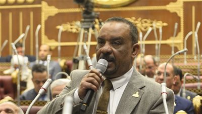 النائب أحمد حافظ يقترح إنشاء بورصة زراعية وطنية بعد افتتاح مشروع الدلتا الجديدة.. ويؤكد: ما يحدث ملحمة إنتاجية تعزز أمن مصر الغذائي