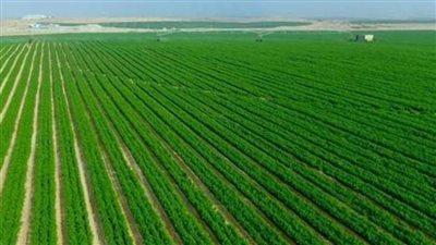 سعيد السعيطي لـ تحيا مصر: مشروع الدلتا الجديدة نقلة نوعية لإعادة تصميم منظومة الأمن الغذائي
