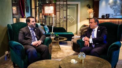 «بحث العلاقات الثنائية بين البلدين».. وزير الخارجية السوري يزور القاهرة غداً