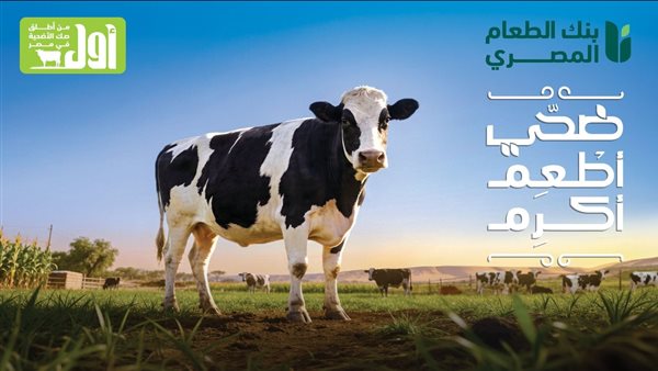 بنك الطعام المصري يطلق حملة “ضحي أطعم أكرم” لدعم الأسر المحتاجة في عيد الأضحى