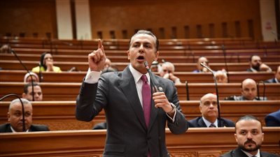 الحساب الختامي فاتورة يتم دفعها لمواقف اتخذتها الدولة المصرية وفاتورة لبناء دولة