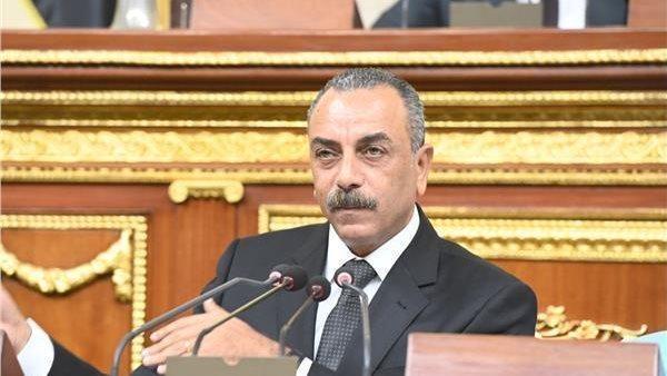 إيهاب الطماوي: سياسة مصر الخارجية تقوم على احترام سيادة الدول واستقرار الشعوب