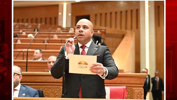 النائب علي خليفة: ننتظر تقرير اللجنة الهندسية لحسم المسؤولية عن أزمة عقارات كفر طهرمس