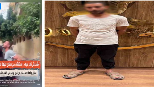 ضبط حارس عقار بتهمة التعدي على الكلاب الضالة في النزهة بالقاهرة
