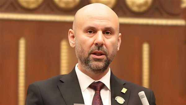 النائب باسم كامل يطالب بإنشاء مجلس أعلى للدبلوماسية الثقافية لتعزيز قوة مصر الناعمة