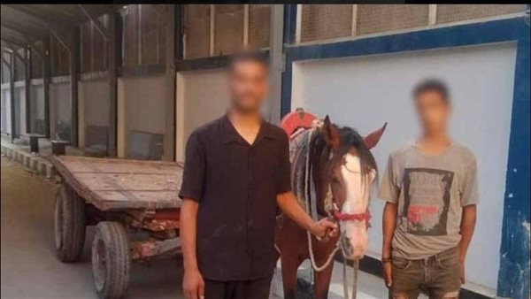فيديو يقود الداخلية لضبط «2 عربجية» بعد إلقائهما مخلفات بشوارع المرج