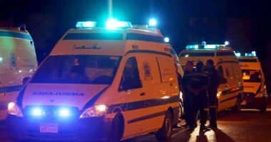 نزاع بين أخوين في بركة السبع ينتهي بجريمة قتل عامل في المنوفية