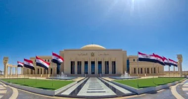 حزب مصر القومى: نطالب بالانتقال من “حل النزاعات الأسرية” إلى “منعها”