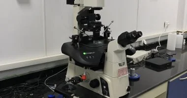 جامعة بني سويف تدشن مركز الحقن المجهرى بأحدث المعدات العالمية