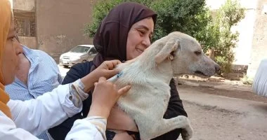 الجيزة تنفذ حملة موسعة لتعقيم وتحصين الكلاب الضالة بشلتر إمبابة