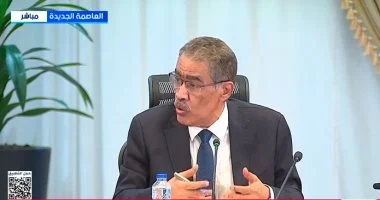 ضياء رشوان يؤكد انتهاء مسؤولية الحكومة عقب إحالة قانون الأحوال الشخصية للبرلمان