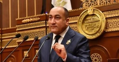 برلمانى: 30 يونيو حكاية وطن انتصر بإرداة شعبية خالصة وقائد شجاع وجيش وطنى