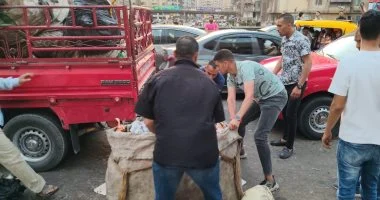 حملات مكثفة لمواجهة النباشين وضبط المخالفات البيئية والاشغالات بالإسكندرية