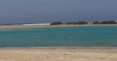 تعرف على أهم المعالم البيئة فى مدينة مرسى علم جنوب البحر الأحمر.. صور