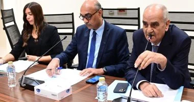 نص مشروع قانون العلاوة الدورية والخاصة وزيادة الحافز الإضافى للعاملين بالدولة