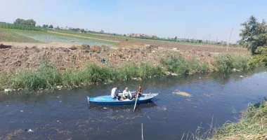 استمرار أعمال التمشيط بمصرف الحصافة بشبين القناطر بعد اصطياد تمساح
