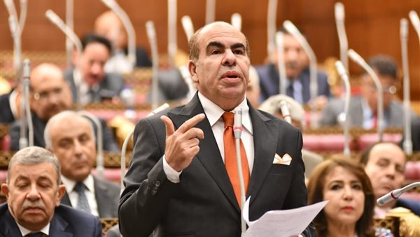 نائب برلماني يطرح استفساراً حول الآثار البيئية والصحية لأحواض الصرف في قرية الجبلاو بقنا