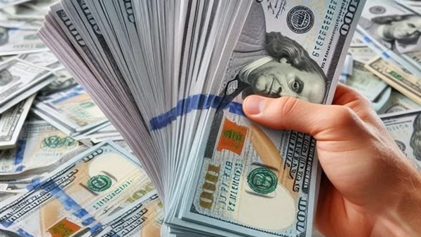 سعر الدولار مقابل الجنيه المصري اليوم الإثنين 29 يونيو 2026