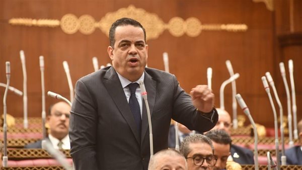 نائب بالشيوخ: خطة التنمية 2026/2027 طموحة لكن نجاحها مرهون بوضوح التنفيذ وتحسين حياة المواطنين