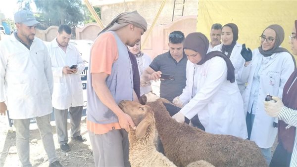 تقرير أسبوعي عن جهود ومعامل “البحوث الزراعية” في مجال الزراعة