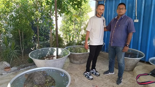 وزيرة التنمية: مواطن ينقذ 6 سلاحف بحرية مهددة بالإنقراض ونقلهم لمركز إنقاذ السلاحف