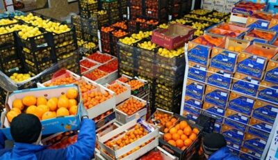 وزير الزراعة يعلن تجاوز الصادرات الزراعية المصرية 5.8 مليون طن بالتزامن مع جهود فتح الأسواق الجديدة
