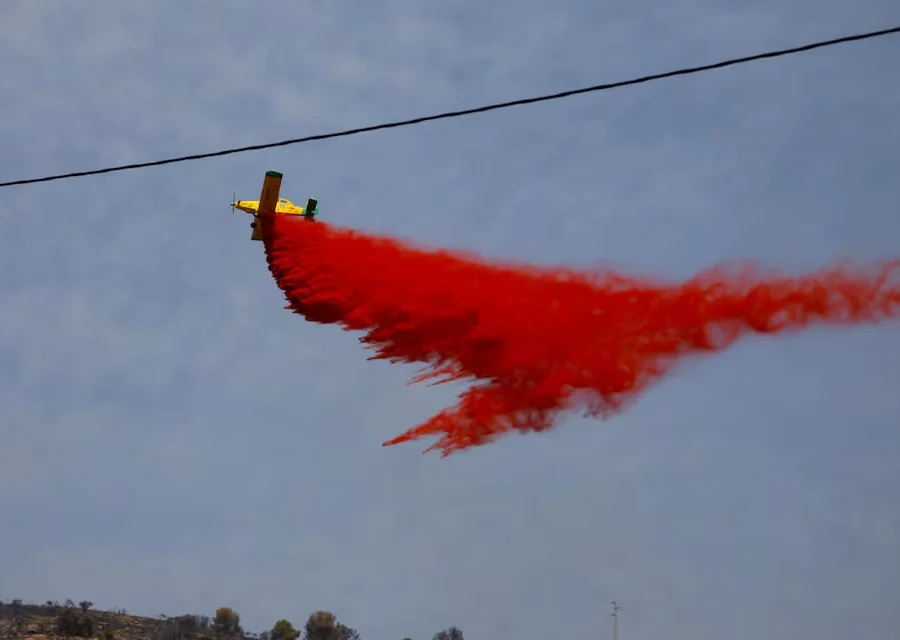 12 قتيلا في حريق غابات ألميريا بإسبانيا وإخلاء 1400 شخص