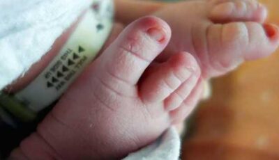 اليوم العالمي للسكان.. الإحصاء: مصر تنجح في خفض معدلات الإنجاب إلى 2.33 طفل لكل سيدة