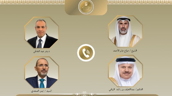 وزير الخارجية يؤكد تضامن مصر الكامل مع الدول العربية ورفضها القاطع لأي اعتداء