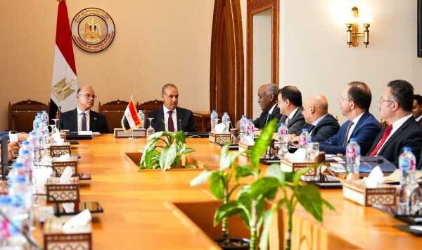 وزير الاستثمار: القطاع الخاص ركيزة أساسية لتعزيز علاقاتنا الاقتصادية مع دول أفريقيا