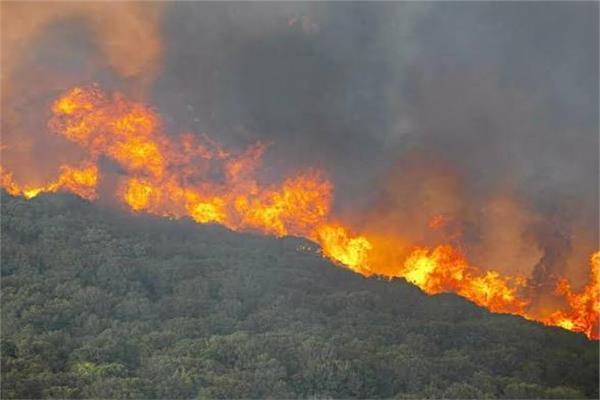 مقتل 12 شخصاً في حرائق غابات في جنوب إسبانيا