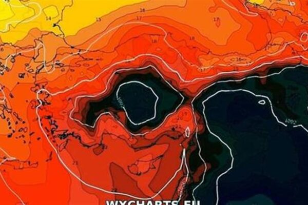 مناخ الزراعة يحذر من تأثيرات القبة الحرارية.. ويصدر حزمة توصيات للحفاظ على المحاصيل
