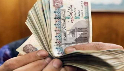 قبل زحام 20 يوليو.. ماذا تفعل إذا انتهت صلاحية فيزا «ميزة» للمرتبات وكيف تجددها؟