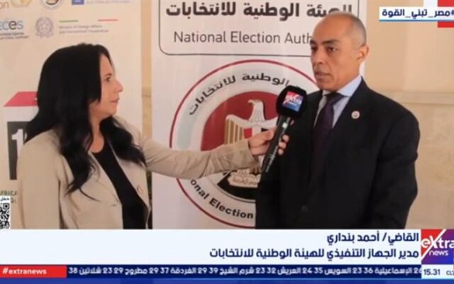 «الوطنية للانتخابات»: إشادة إفريقية بالتجربة المصرية في تصويت المواطنين بالخارج