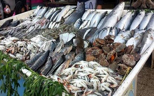 أسعار السمك والجمبري بسوق العبور اليوم الأربعاء